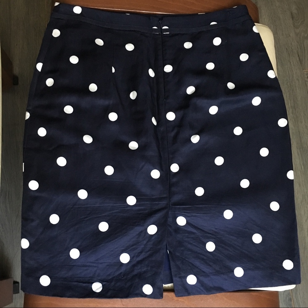 Polka Dot Skirt